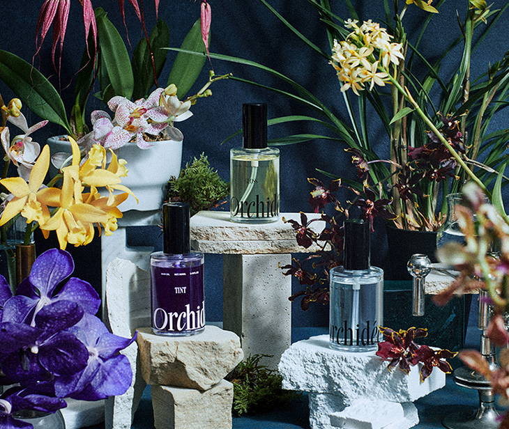 メゾンオルキデ