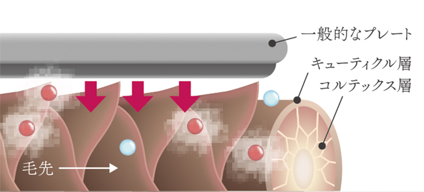 一般的なプレートの使用イメージ