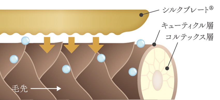 シルクプレートの使用イメージ