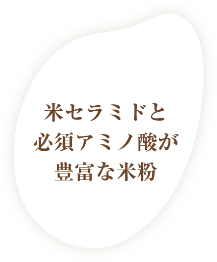米セラミドと必須アミノ酸が豊富な米粉