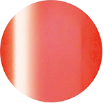 2-02ネオンオレンジ