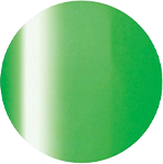 2-04ネオングリーン