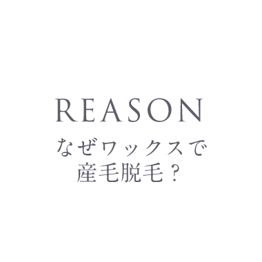 REASON なぜワックスで産毛脱毛？