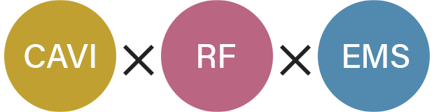 CAVI×RF×EMS