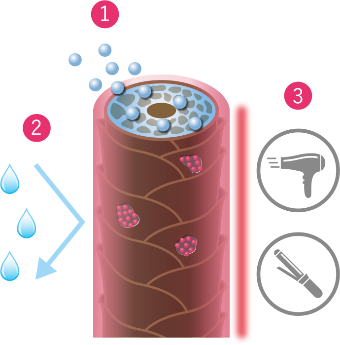 イメージイラスト