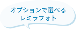 オプションで選べるレミラフォト