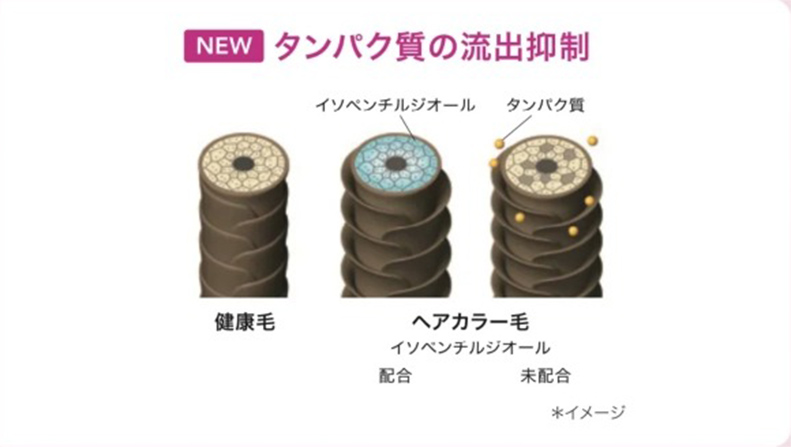 NEW タンパク質の流出抑制