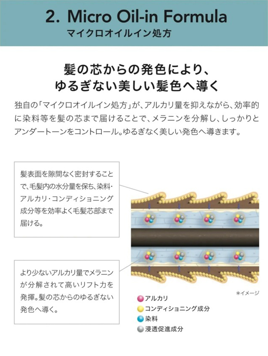 2.Micro Oil-in Formula マイクロオイルイン処方