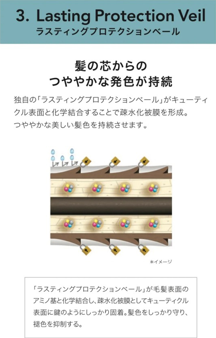 3.Lasting Protection Veil ラスティングプロテクションベール