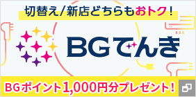 BGでんき