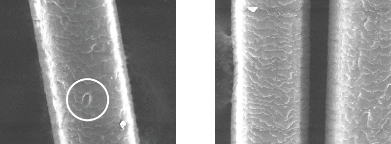 キューティクルの欠損