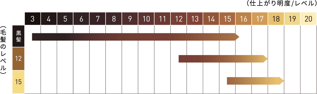 （仕上がり明度/レベル）x（毛髪のレベル）