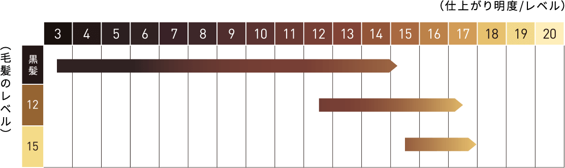 （仕上がり明度/レベル）x（毛髪のレベル）